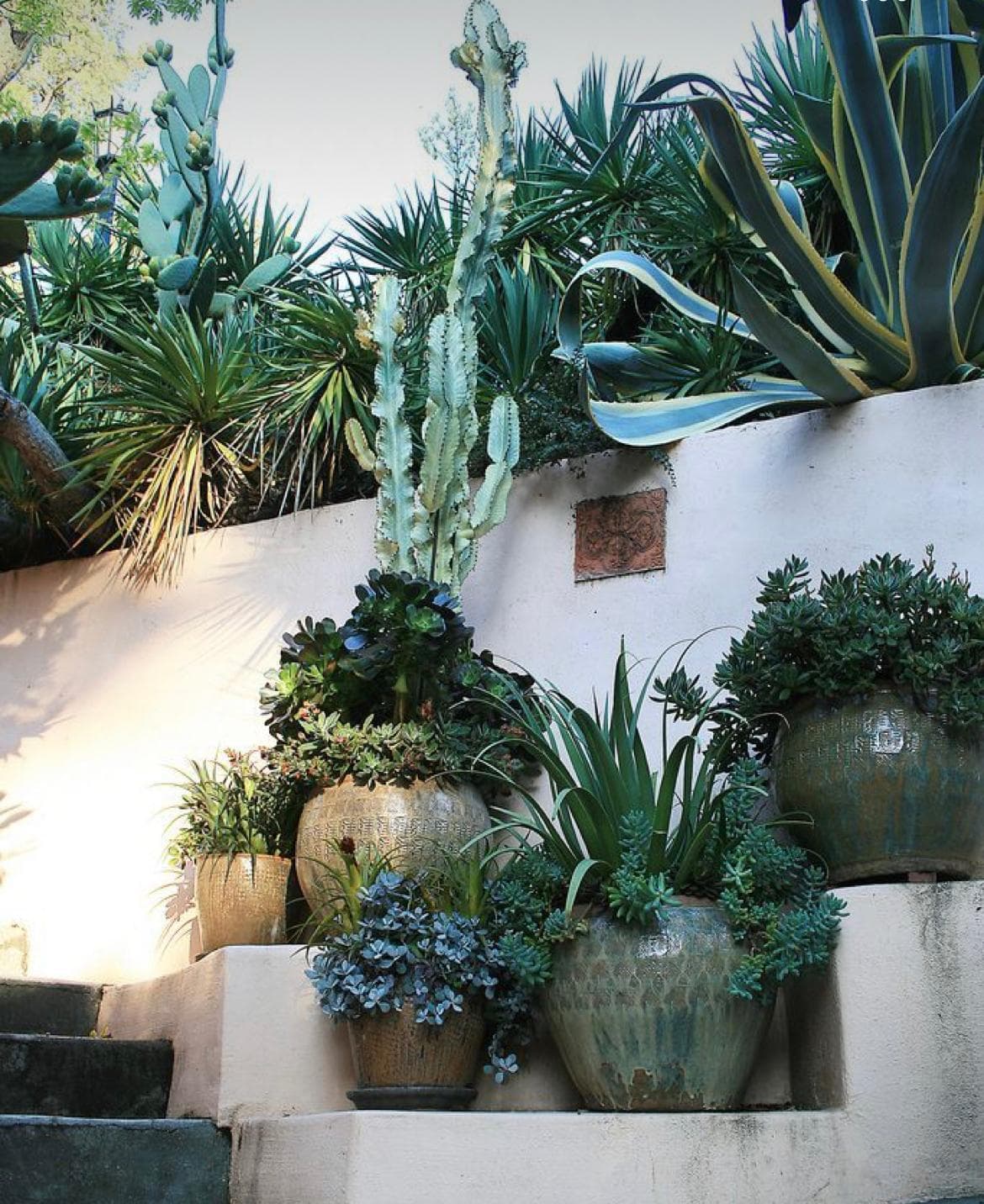 Aménagement floral en extérieur, massifs et lignes végétales dans un jardin